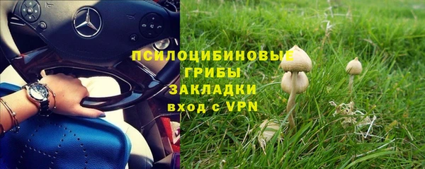 гашик Абаза