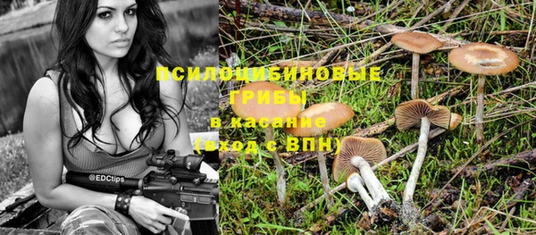 гашик Абаза