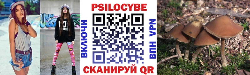 Псилоцибиновые грибы Cubensis  Абдулино 